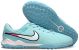 Сороконіжки Nike Tiempo Legend 10 TF