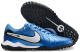 Сороконіжки Nike Tiempo Legend 10 TF