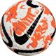 Футбольний м'яч Nike PL FA23 
